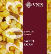 Updated catalog of sugar corn!